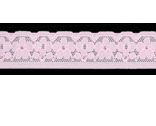 CL5282-26-N