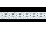 CL5608-13-N